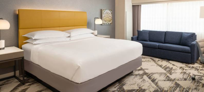 底特律诺维喜来登酒店(Sheraton Detroit Novi Hotel)图片