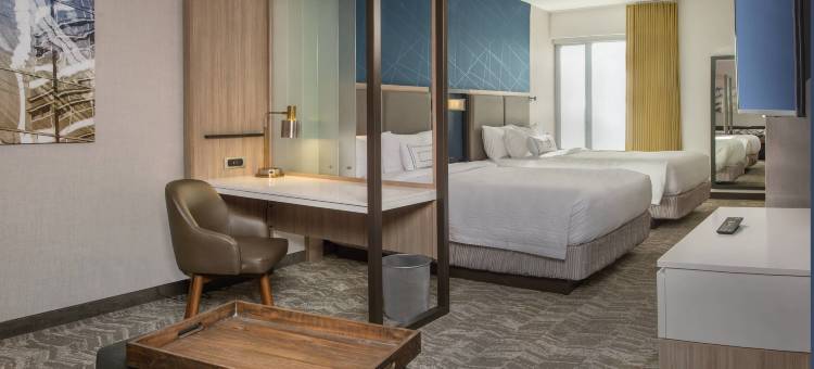 盖恩斯维尔干草市场SpringHill Suites酒店(SpringHill Suites Gainesville Haymarket)图片