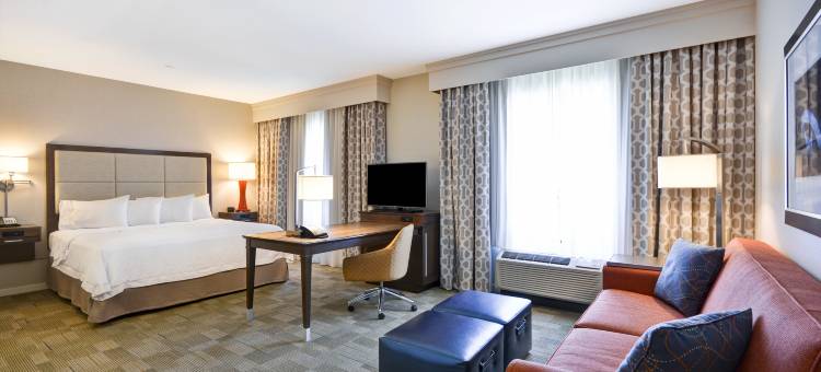 达拉斯-普莱诺东欢朋套房酒店(Hampton Inn & Suites Dallas/Plano-East)图片