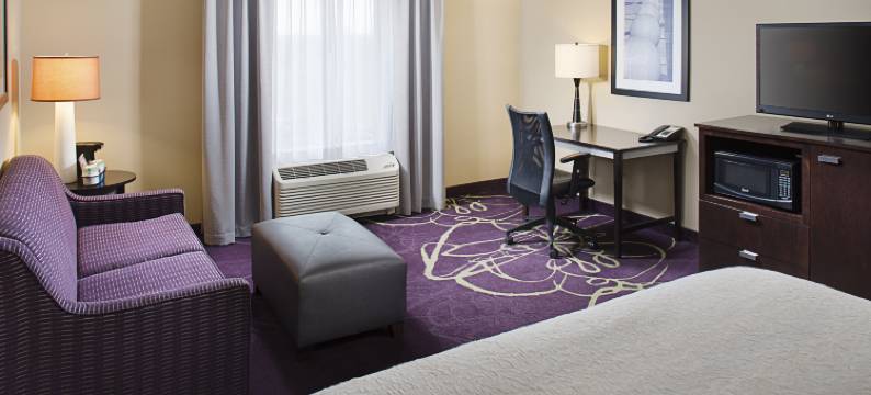 兰辛西部欢朋套房酒店(Hampton Inn & Suites Lansing West)图片