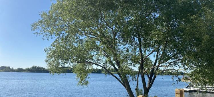 里诺湖畔可观赏美丽日落的木屋!(Enjoy Beautiful Sunsets on Lake Reno!)图片