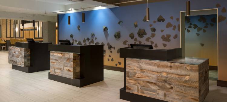 奥斯汀中央希尔顿安泊酒店(Embassy Suites by Hilton Austin Central)图片