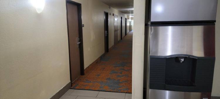 克利尔沃特-圣德彼得堡机场温德姆速8酒店(Super 8 by Wyndham Clearwater/St. Petersburg Airport)图片