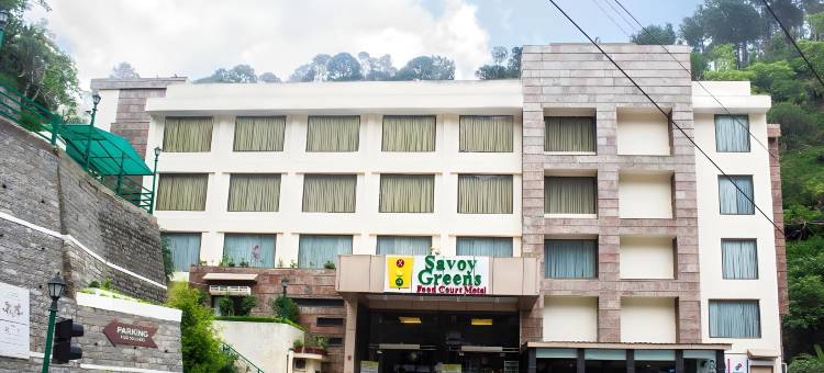 贾布利萨沃格林斯酒店(Savoy Greens Jabli)图片