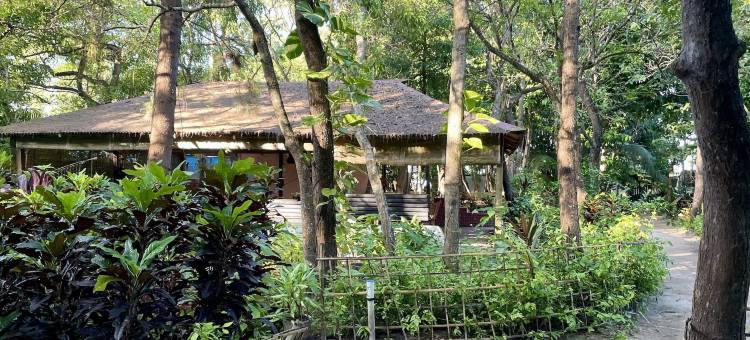 舞动的海牛(Dancing Dugong)图片