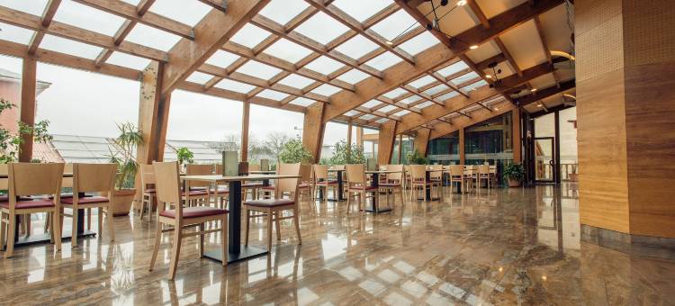 帕西拉温泉别墅公寓(Apartamentos Spa Villa Pasiega)图片