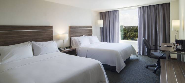 Holiday Inn Express 库利阿坎(Holiday Inn Express Culiacan)图片