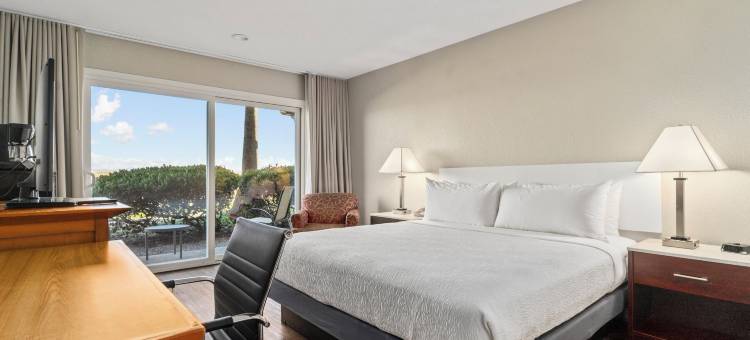 旧金山机场海湾瓦加邦德行政酒店(Vagabond Inn Executive SFO)图片