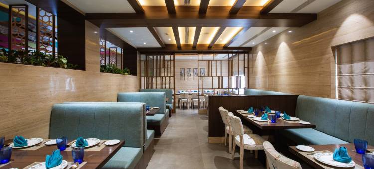 Ikon by Annapoorna图片