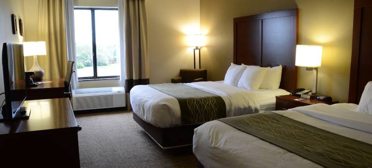 舒适套房酒店(Comfort Inn & Suites)图片
