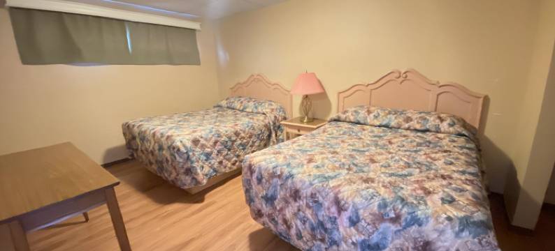 香农汽车旅馆(Shannon Motel)图片