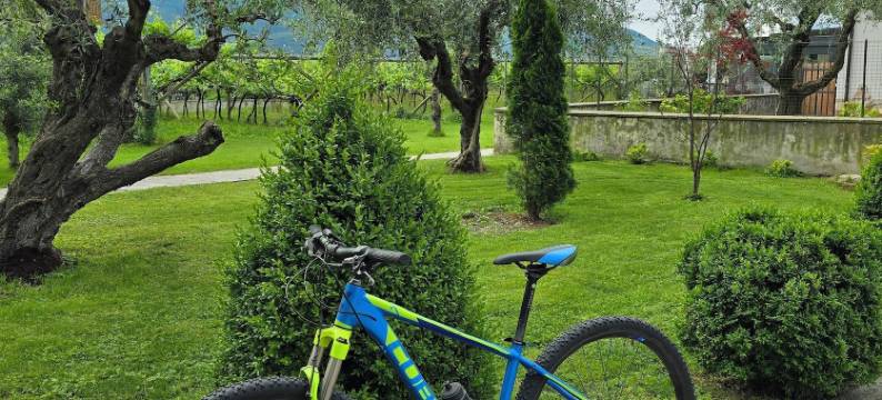 安蒂克菲恩尼尔农庄酒店(Antico Fienile Agritur)图片