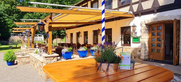 瓦尔德泉酒店 - 艾珍的树屋酒店(Hotel Waldquelle - Baumhaushotel Aerzen)图片