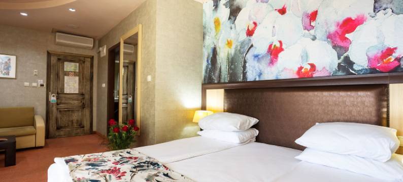 巴尔尼奥Spa水疗酒店(Balneo Complex & Spa Aquatonik)图片