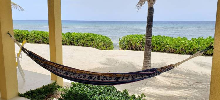 海洋天堂酒店(Ocean Paradise)图片