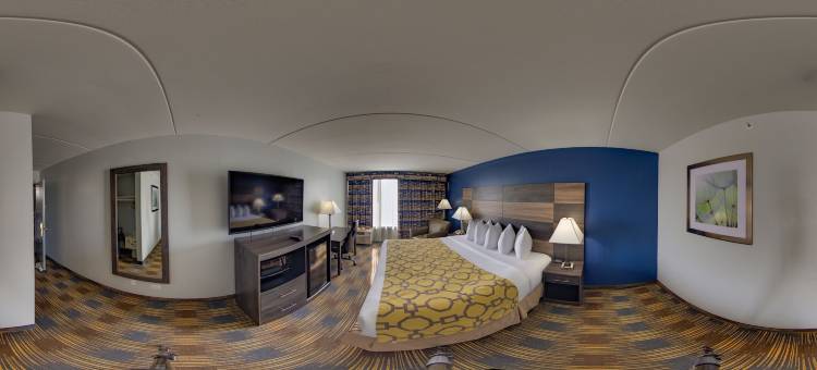 艾迪生温德姆呗盟酒店(Baymont by Wyndham Addison)图片