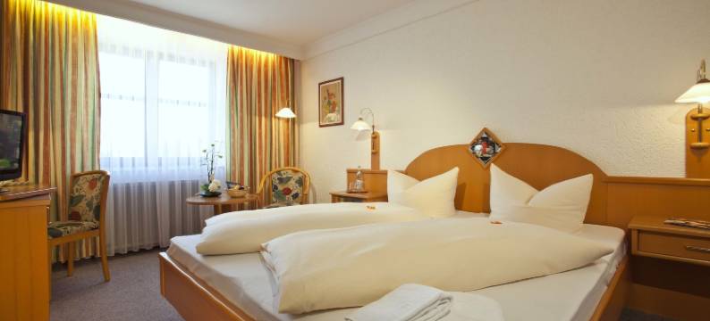 Mayerhofer - 酒店 - 餐厅 - 派对服务 - 会议(Hotel-Restaurant Mayerhofer)图片