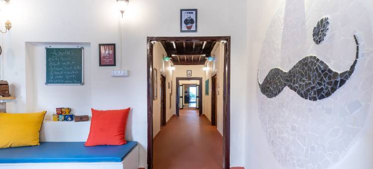 Moustache 达曼(Moustache Daman)图片