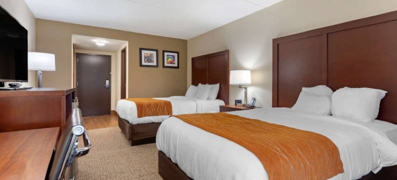 宾厄姆顿I-81舒适酒店(Comfort Inn Binghamton I-81)图片