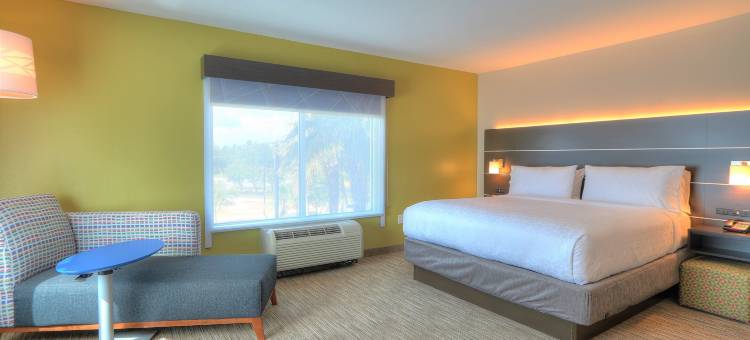 智选假日套房酒店移动/ 萨拉兰德(Holiday Inn Express & Suites Mobile/Saraland)图片