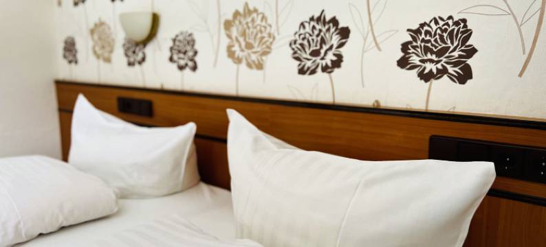 拉曼土地酒店(Landhotel Laarmann)图片