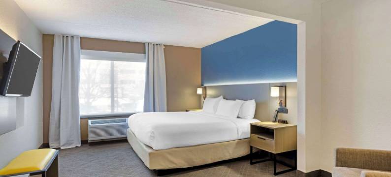 阿灵顿高地舒适套房酒店-绍姆堡(Comfort Inn & Suites Arlington Heights - Schaumburg)图片
