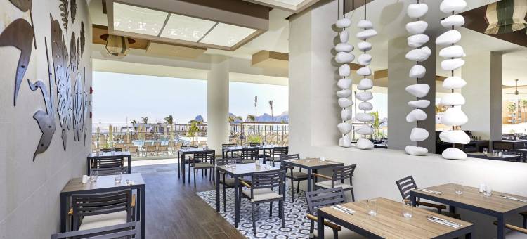 里乌宫加利福尼亚半岛酒店 - 限成人- 全包(Riu Palace Baja California - Adults Only - All Inclusive)图片