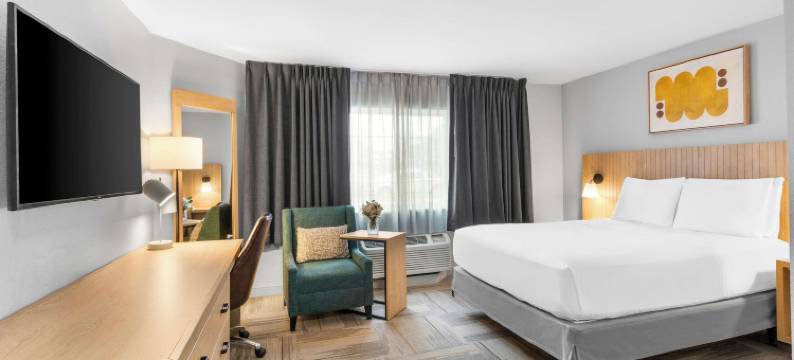 奥斯汀南索尼斯塔简单套房酒店(Sonesta Simply Suites Austin South)图片