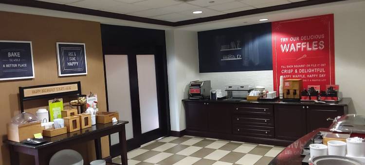 坦帕韦斯利查普尔欢朋套房酒店(Hampton Inn & Suites Tampa-Wesley Chapel)图片