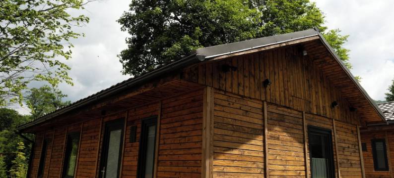 Mogosa村(Mogosa Village)图片