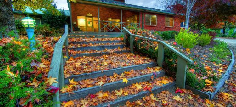 发现公园小屋 - 布莱特(Discovery Parks - Bright)图片