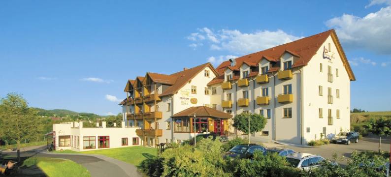 湖滨全景酒店(Panorama-Hotel am See)图片