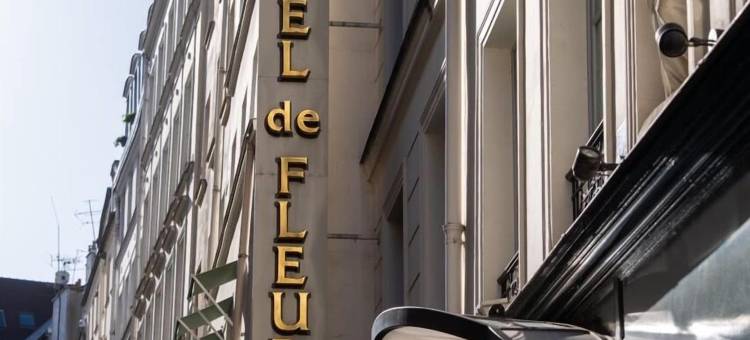 弗勒里酒店-圣日耳曼德佩区(Hotel de Fleurie - Saint-Germain-Des-Pres)图片