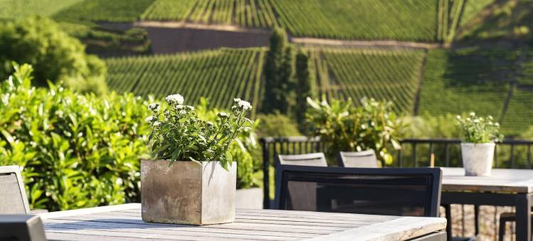 克瑞斯特卡鲁赛瑞塔酿酒厂和旅馆(Gästehaus Mit Weitblick im Weingut Christoph Clüsserath Und Bernhard Eifel)图片