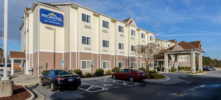 格林维尔-大学医学中心麦客达套房酒店(Microtel Inn & Suites by Wyndham Greenville/University Med)图片