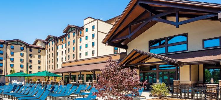 亚特兰大拉格兰奇大狼小屋(Great Wolf Lodge Atlanta / LaGrange, GA)图片