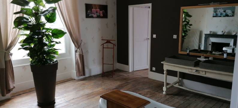 沙瓦内城堡酒店(Chateau de Chavannes)图片