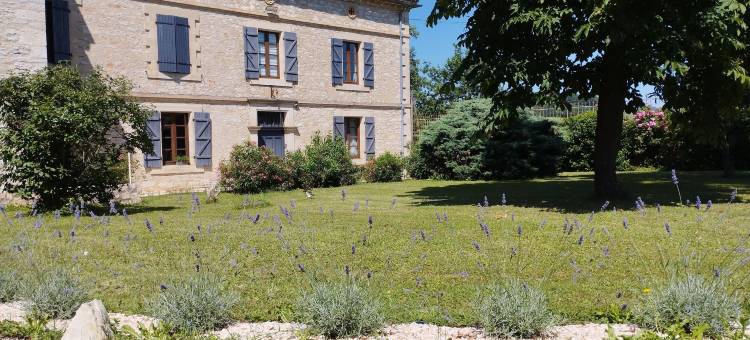 加里格领域(Domaine les Garrigues)图片