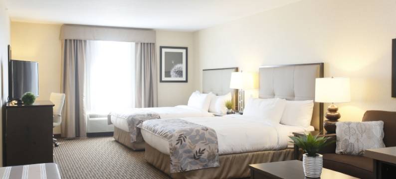 奥尔兹学院波默罗伊酒店及套房(Pomeroy Inn & Suites at Olds College)图片