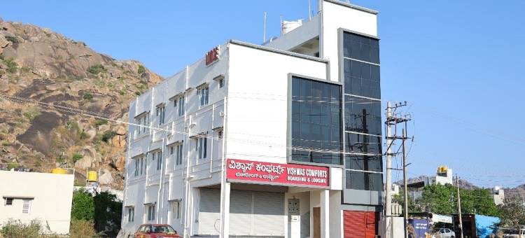 维什瓦斯舒适酒店(Vishwas Comforts)图片