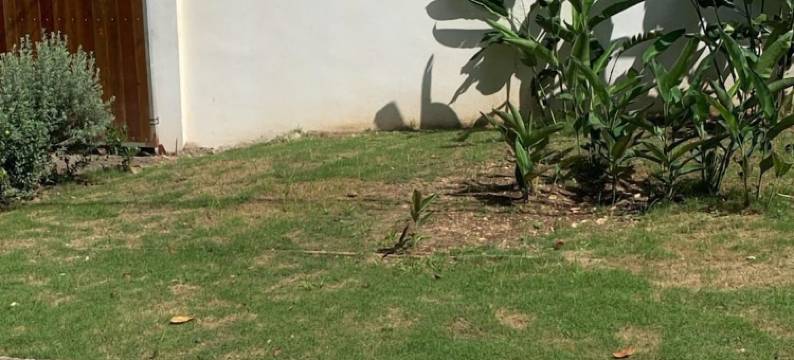 蓝海二号联合大厅(Blue Seas Two)图片