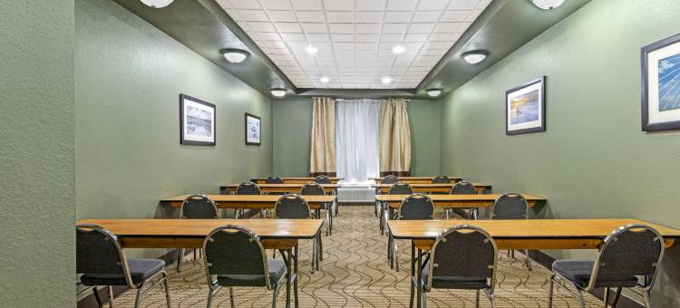 布伦瑞克舒适酒店(Comfort Suites Brunswick)图片