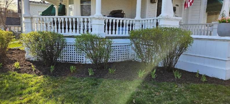 Maon House 民宿(Maon House Bed and Breakfast)图片