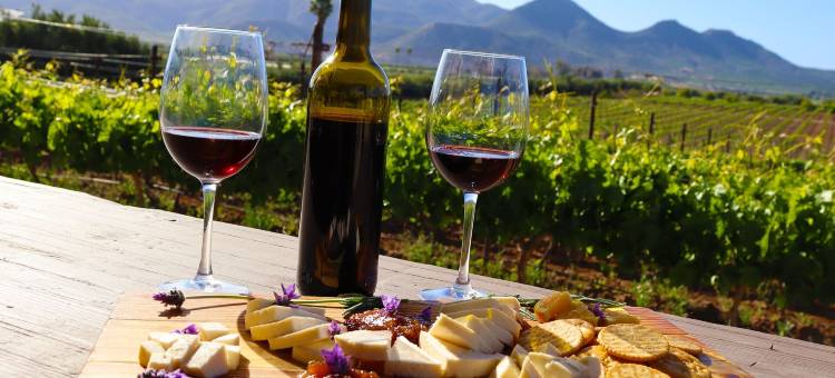 雷托诺斯别墅酒店(Villas en Los Retoños)图片