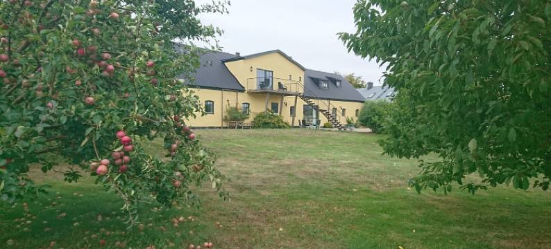 布朗特韦克斯韦斯特酒店(Branteviks Viste)图片