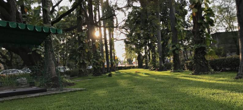 瓦雷斯酒店(Hotel Valles)图片