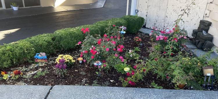 奥本汽车旅馆(Auburn Motel)图片