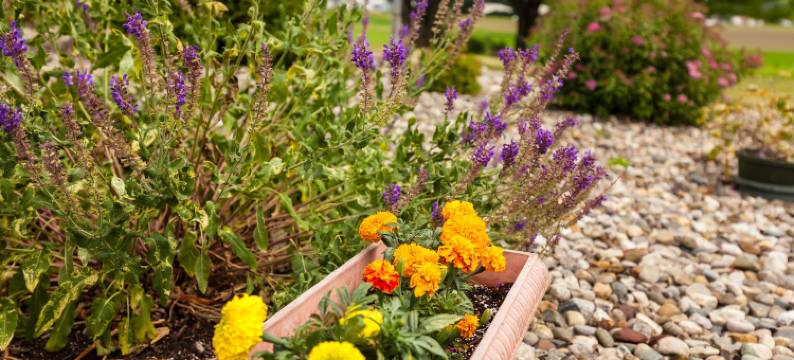 苏格兰住宿加早餐旅馆(Scottish Bed & Breakfast)图片