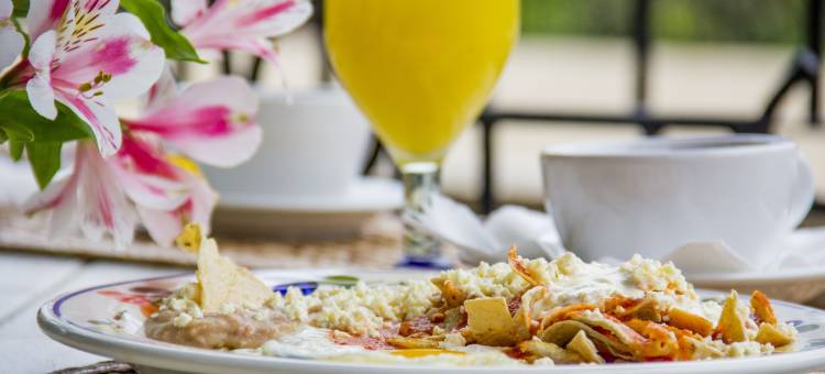 马扎米特拉韦尔塔皇家酒店(Huerta Real Mazamitla)图片