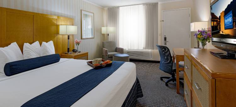 棕榈泉巴港精品酒店(Travelodge by Wyndham Palm Springs)图片